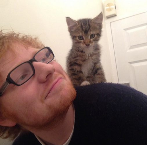ed-sheeran-and-his-kitty-cat-graham